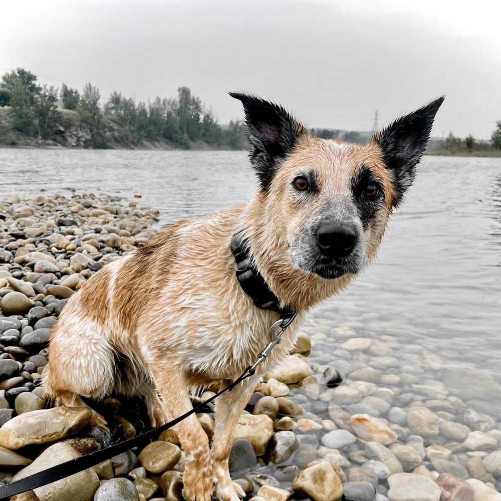 Meet your Posher, Analisa